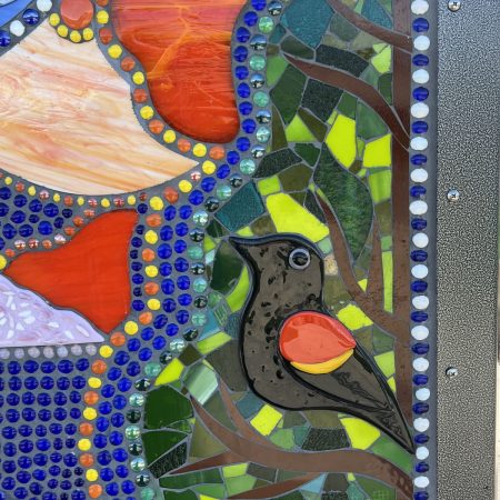 Redwinged blackbird detail