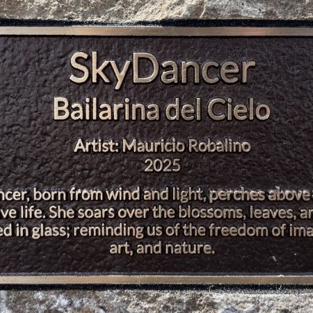 SkyDancer plaque